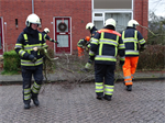 Prio 2 Stormschade Hanegraafweg Noardburgum